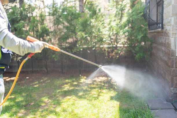 Best Ant Control Services  in Brigantine, NJ