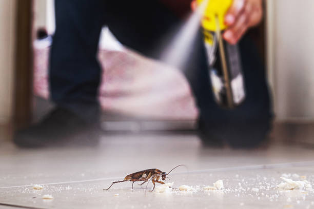 Best Pest Prevention Services  in Brigantine, NJ